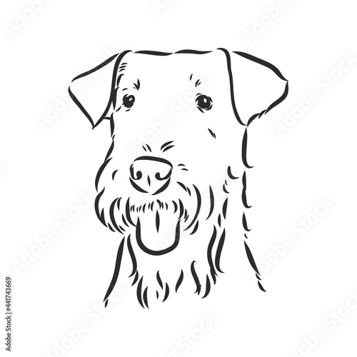 Airedale Terrier Dog. hand drawn. Vector illustration