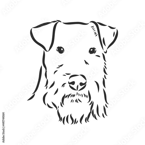 Airedale Terrier Dog. hand drawn. Vector illustration