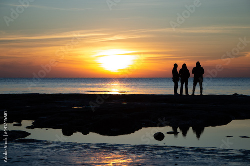 people on the beach at sunset