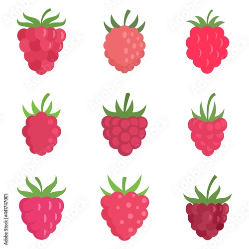 Raspberry icons set flat vector isolated
