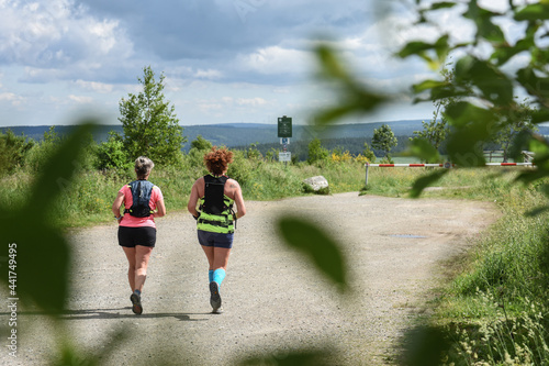 Belgique Wallonie Hautes Fagnes paysage tourisme balade nature promenade environnement  photo