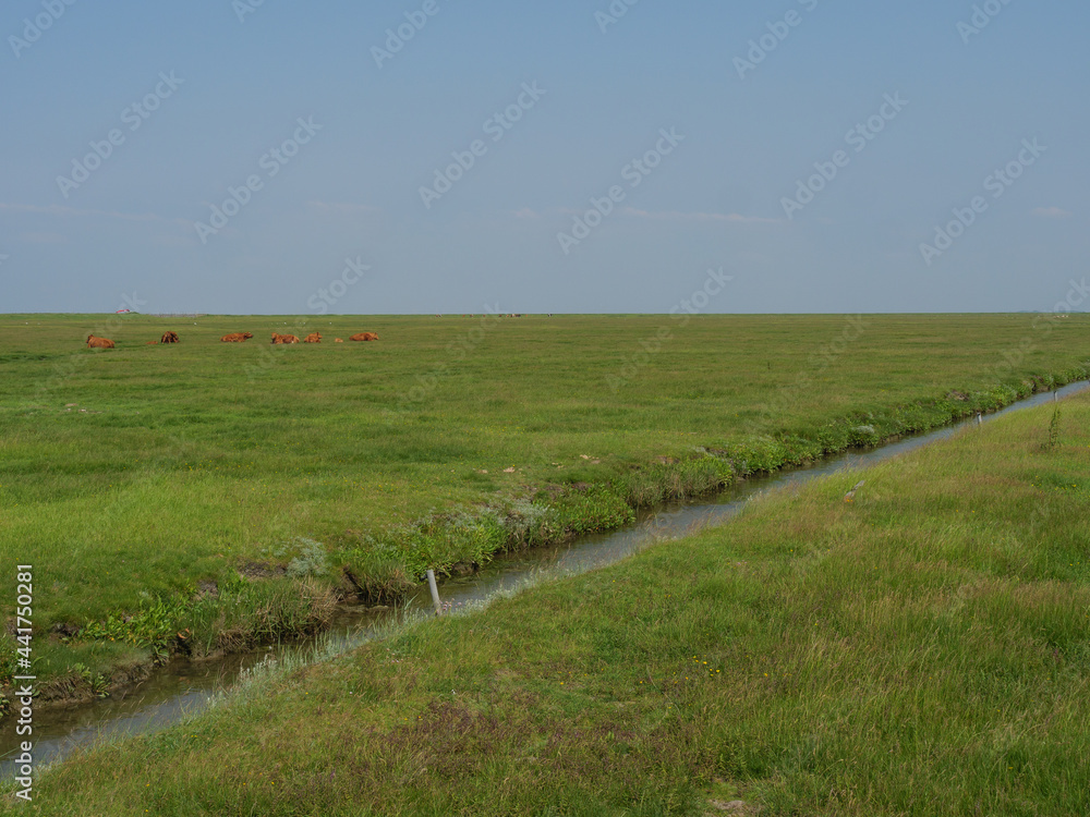 Hallig Hooge in der Nordsee