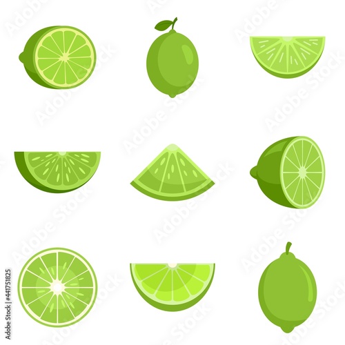 Lime icons set flat vector isolated