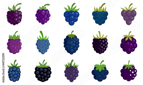Blackberry icons set flat vector isolated