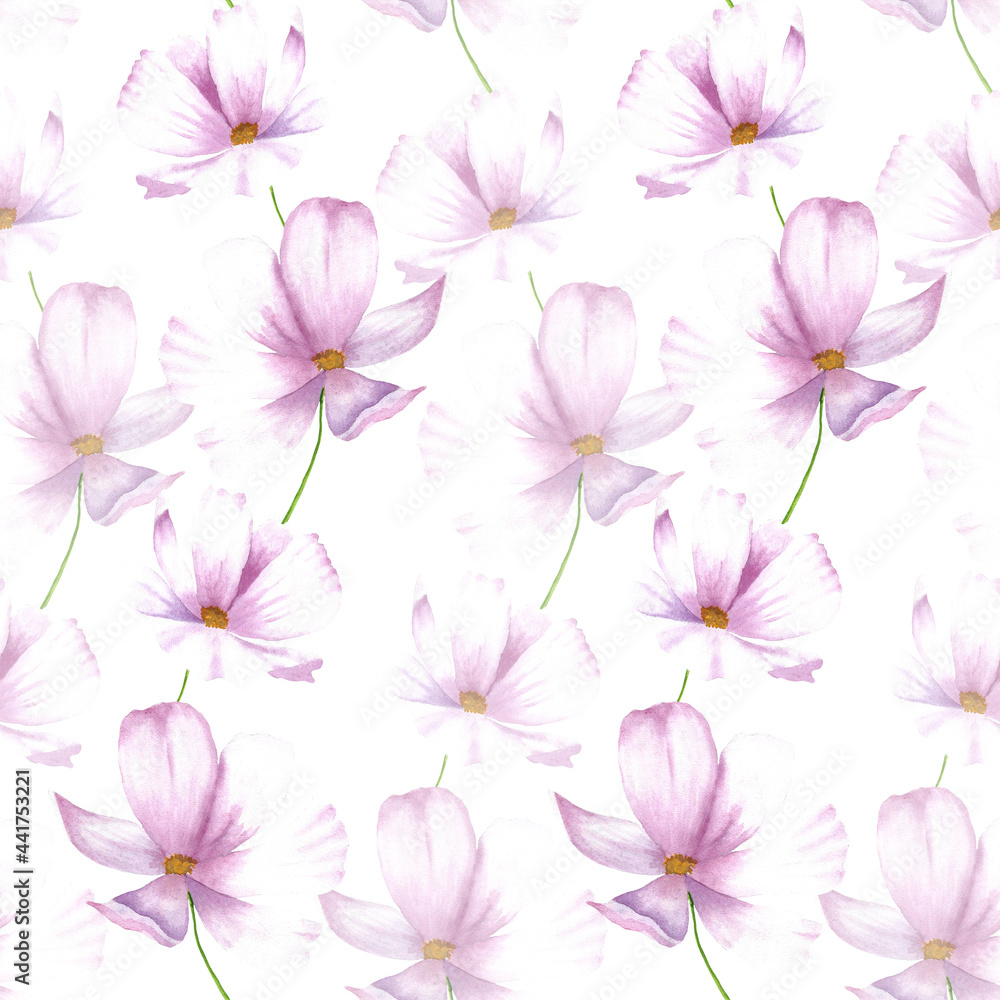 
Watercolor Cosmos flowers illustration. Floral  botanical drawing. Pink spring flowers seamless allover pattern