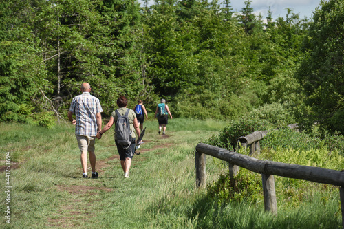 Billede på lærred Belgique Wallonie Hautes Fagnes paysage tourisme balade nature promenade environ