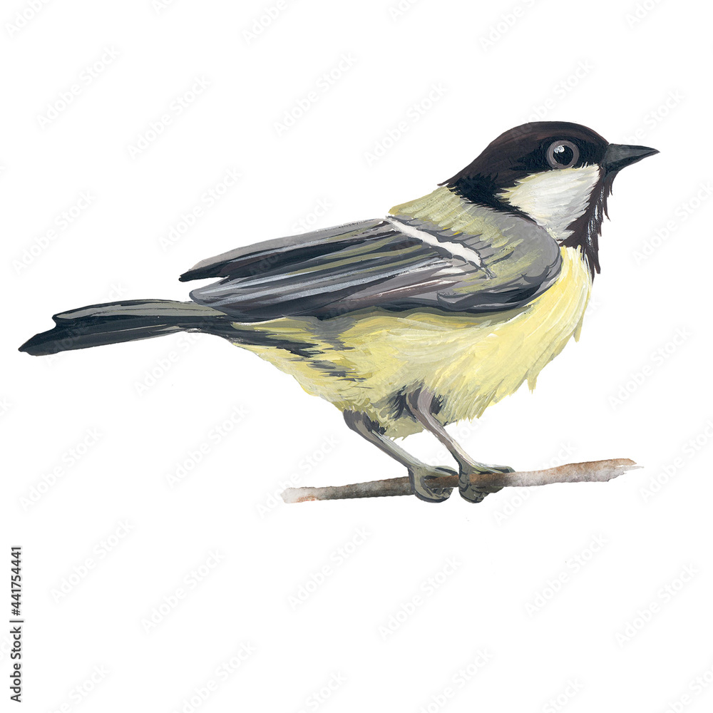 Naklejka premium Set of birds bullfinch and tit. Handmade illustration isolated on a white background. A symbol of the winter holiday for the design of postcards, textiles, Christmas.