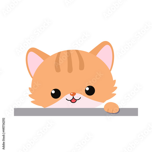 Cute ginger cat isolated on white background