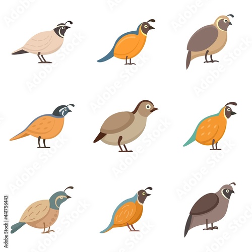 Quail icons set flat vector isolated