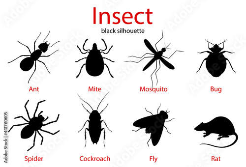 Pest Control insect black silhouette set, insect icons isolated on white, flat style