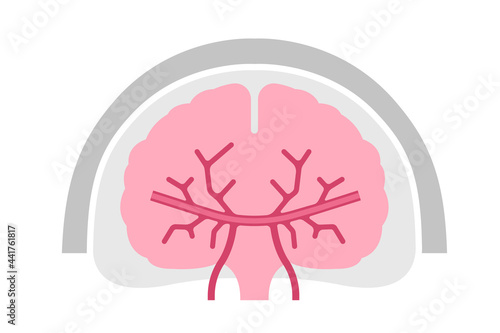 Simplified human brain  vector illustration