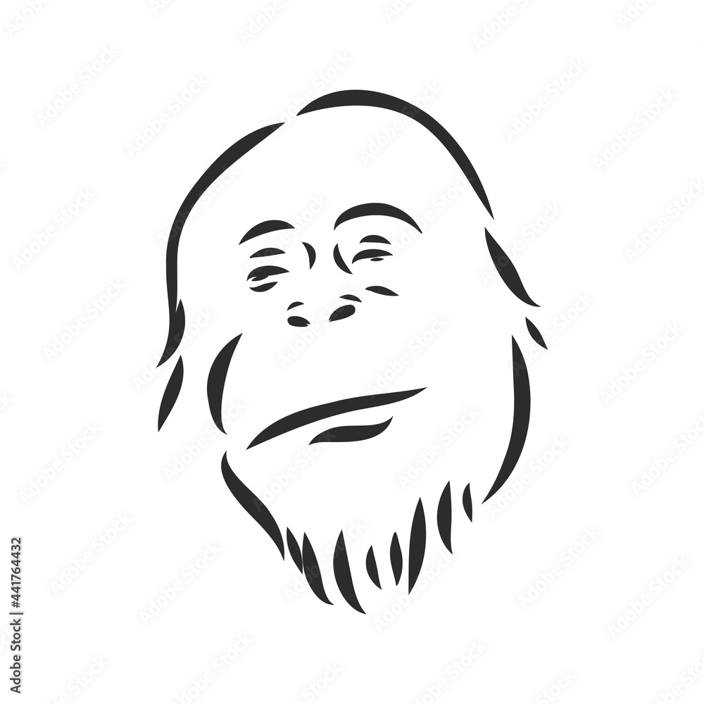 Vector image of a chimpanzee on white background Vector image of a chimpanzee on white background
