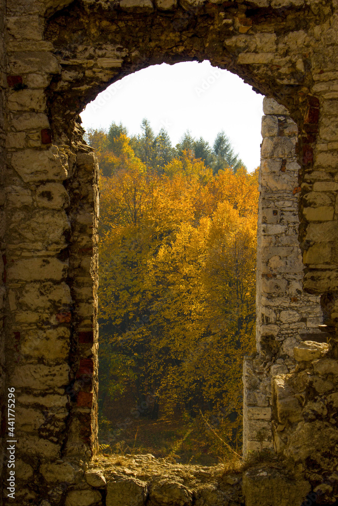 Fototapeta premium old castle