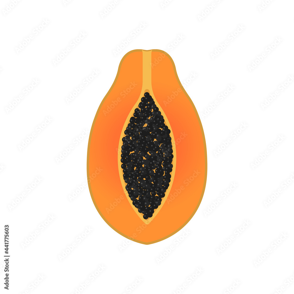 Papaya fruit icon. Vector illustration. Flat design.