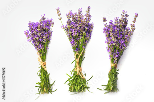 Bunch of Lavender flowers isolated on white background.