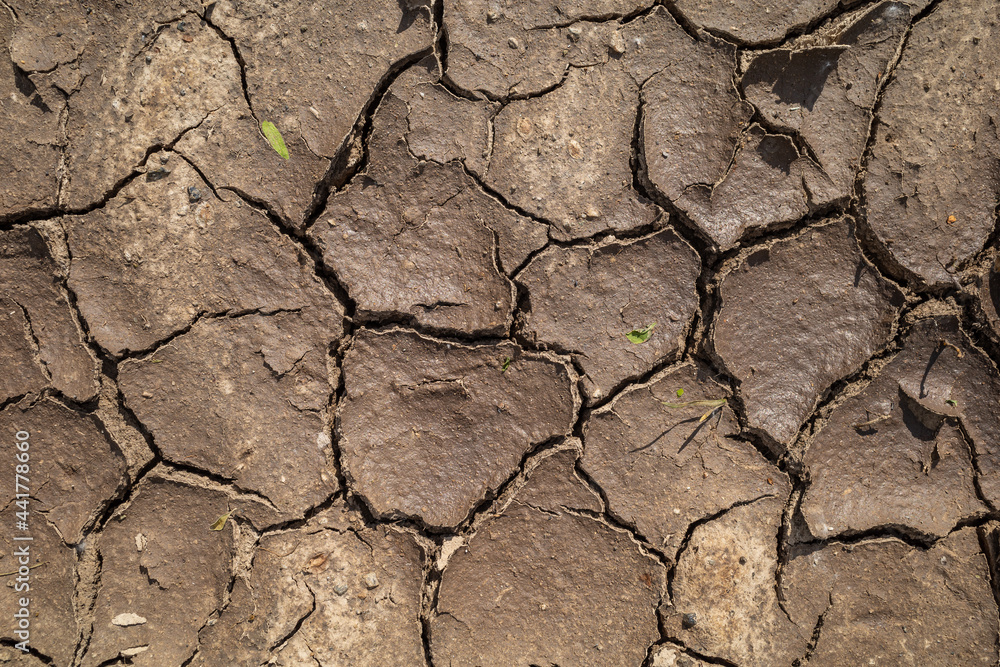 Dry and cracked soil due to warming and drought Dry and cracked soil due to warming and drought