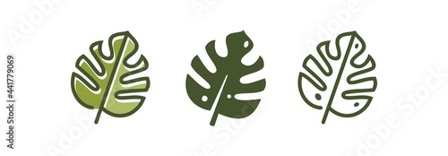 botanical wall art. abstract line of monstera leaf vector set logo icon illustration. Green tropical leaves drawing outline.
