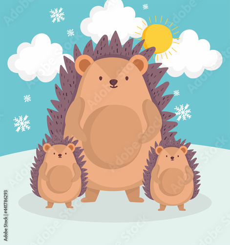 family hedgehog in winter