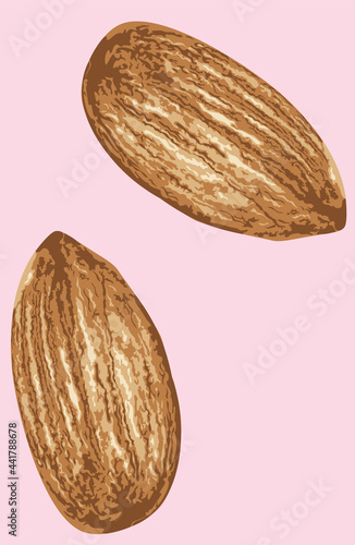Almond seed design