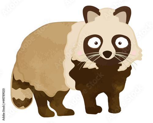 Surprised cute raccoon dog illustration