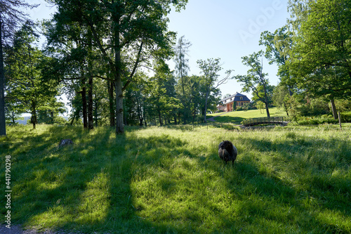 Beautiful Oslo in Norway. This is just outside of the city, but still in side Oslo. The place belongs to Oslomarka, bogstadvannet or bogstadgård.