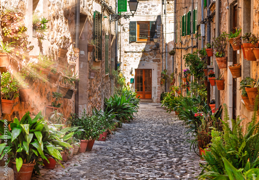 Fototapeta premium Valldemossa plant street alley with sun flare during summer