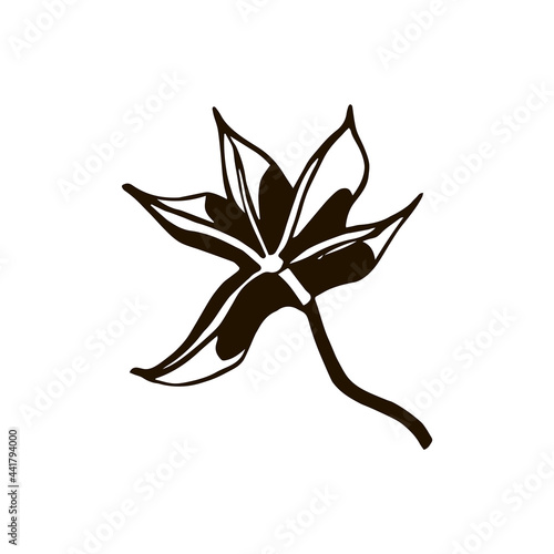 isolated element spice symbol star anise black and white vector