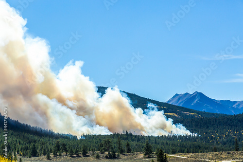 Принти на полотні Forest fire produces large smoke plume that is blown in Lake County Colorado nea