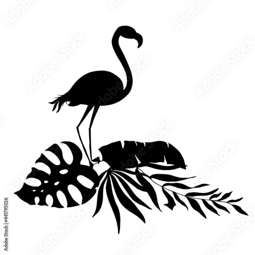 Flamingos in the leaves of tropical palm trees. Black silhouette. Vector illustration.