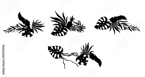 Leaves of tropical palm trees. Black silhouette. Vector illustration.