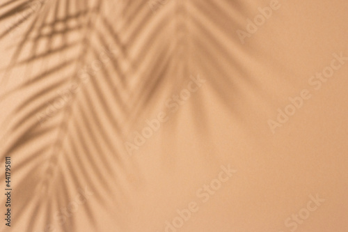 Shadows of tropical leaves of a palm tree on a light brown background. Top view, flat lay