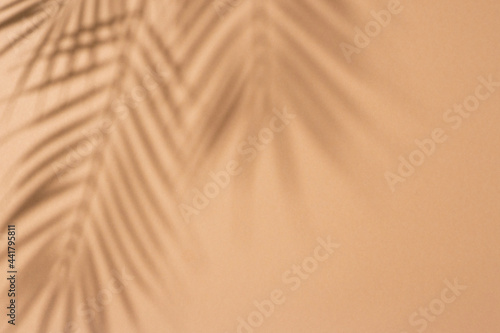 Shadows of tropical leaves of a palm tree on a light brown background. Top view, flat lay