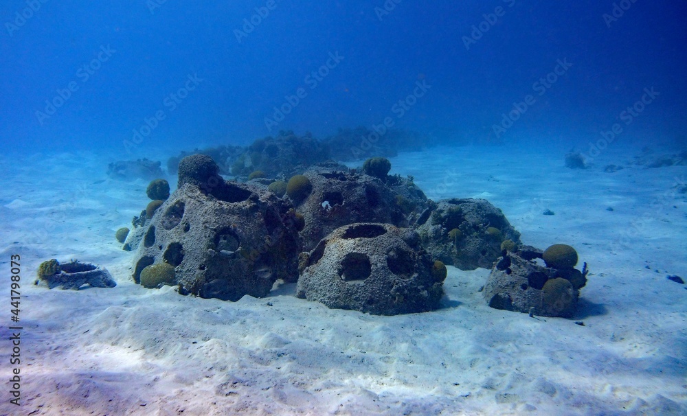 Fototapeta premium Reef Balls, artificial reef modules placed on the the ocean to form reef habitat