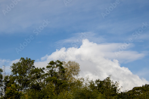 Clouds build up above the forest on the Garden Route in South Africa image for background use
