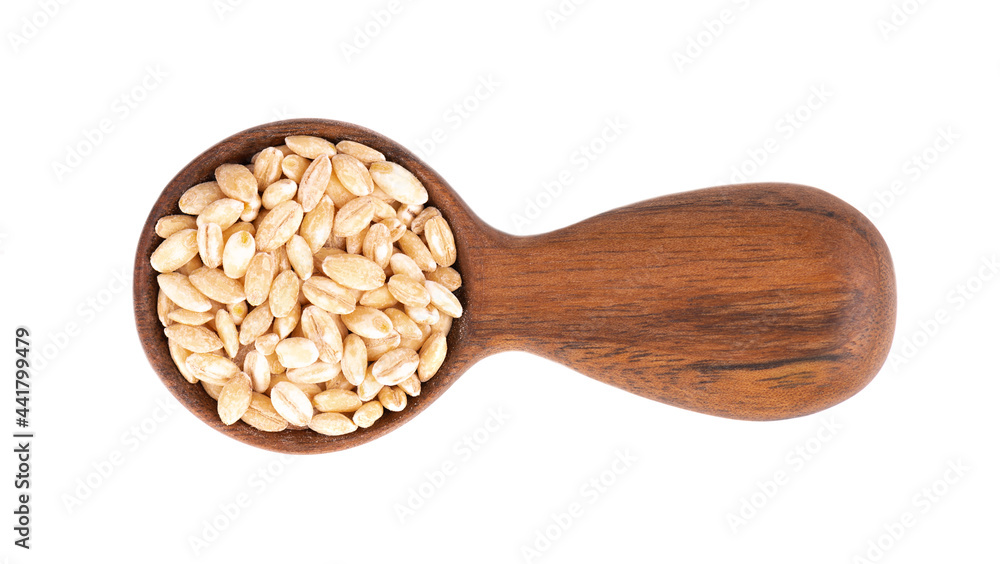 Pearl barley grains in wooden spoon, isolated on white background. Barley seed close up. Top view. Pearl barley grains in wooden spoon, isolated on white background. Barley seed close up. Top view.