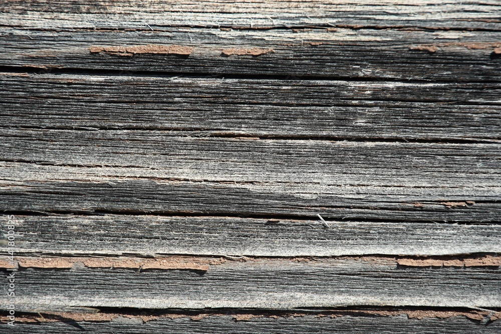 old painted tree material wall board gray pattern. cracked and scratched. close up view macro closeup. High quality photo old painted tree material wall board gray pattern. cracked and scratched. close up view macro closeup. High quality photo