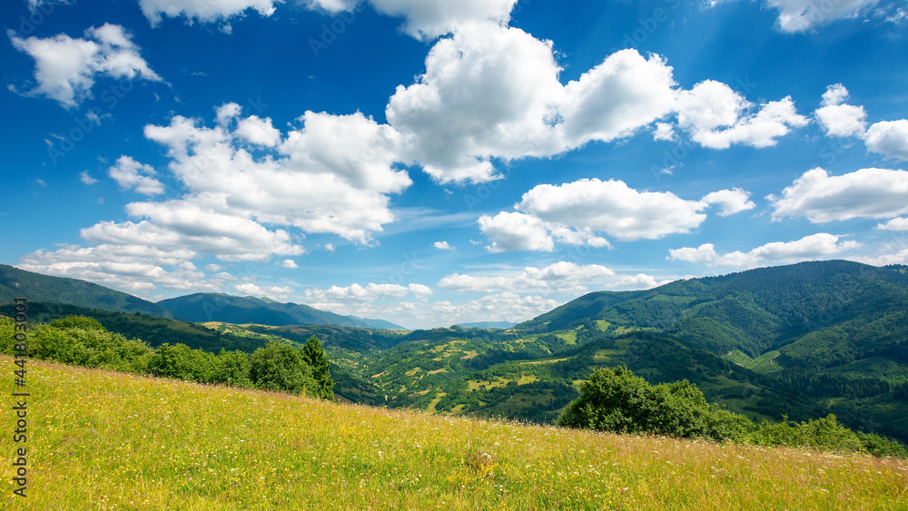 Obraz premium countryside landscape in mountains. grassy meadow on the hill. beautiful nature landscape. sunny summer day. clouds on the sky. travel back country concept