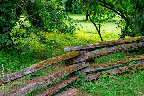 Wooden mossy fence for the gar photo