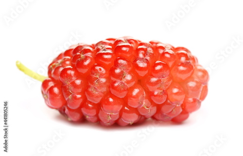 Red mulberry isolated on white background, macro