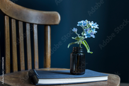 Flower hackelia velutina in a brown pharmacy bottle on a blue spring notebook on a wooden vintage vienna chair against a dark blue wall background photo