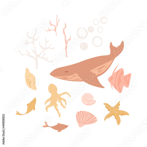 Set of sea animals. Whale  fish  octopus  jellyfish  shell  corals  bubbles water element. Collection of aquatic creatures isolated on white. Vector illustration for print  stickers