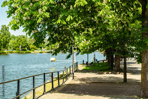 Kirchblüte Baum Straße beim blauen Kanal