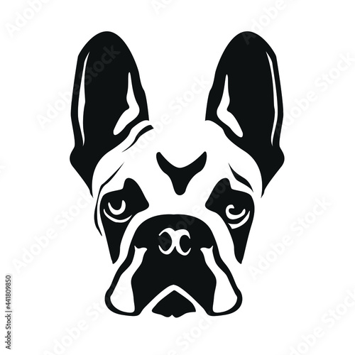 American staffordshire bull terrier dog isolated vector face. American bully puppy face stencil vector black and white   flat design