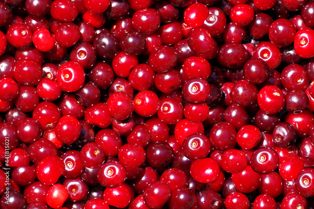 Seamless background with red ripe cherries. Seamless background with red ripe cherries.