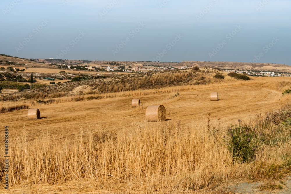 A mown wheat field with rolls of hay on a hillside in the background of a valley near Larnaca, Cyprus. A mown wheat field with rolls of hay on a hillside in the background of a valley near Larnaca, Cyprus.