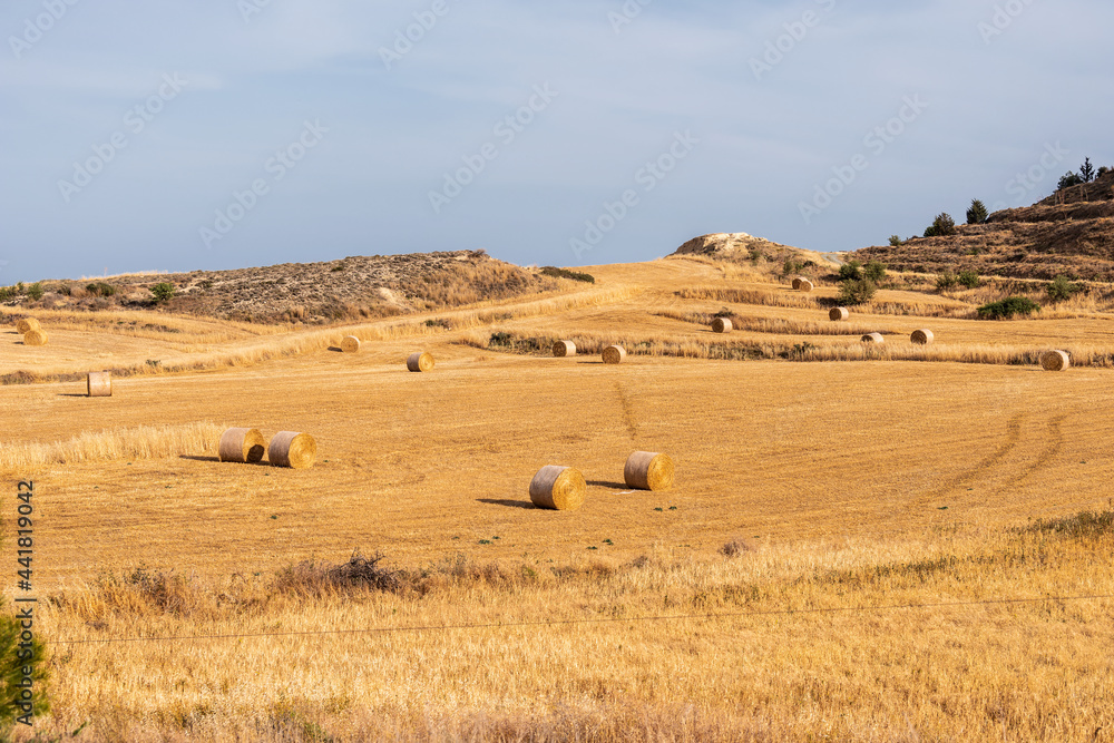 A mown wheat field with rolls of hay on a hillside near Oroklini, Cyprus. A mown wheat field with rolls of hay on a hillside near Oroklini, Cyprus.