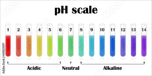 The pH value scale chart for acid and alkaline solutions in the test tubes. Ph Color Chart diagram.  Horizontal banner. Stock vector illustration. photo