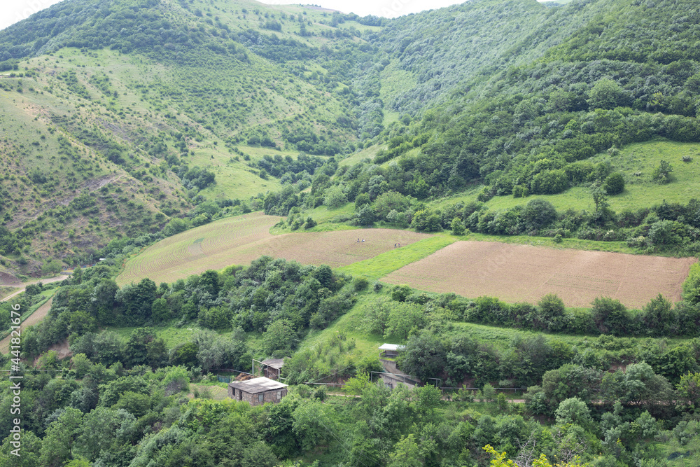 Mountains and forests of Armenia