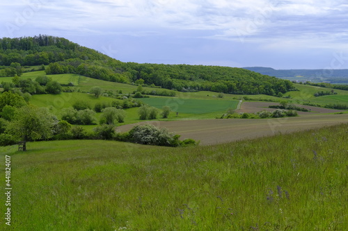 Landschaft im Naturschutzgebiet Hohe Wann zwischen Zeil am Main und Krum  Landkreis Hassberge  Unterfranken  Franken  Bayern  Deutschland