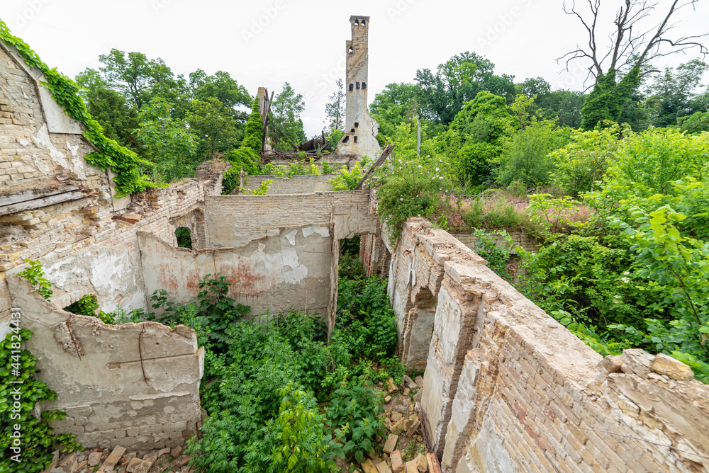 Aleksa Santic, Serbia - June 06, 2021: The abandoned Fernbach Castle, also known as Baba Pusta, was built in 1906 by Karol Fernbach for his own needs. - obrazy, fototapety, plakaty 